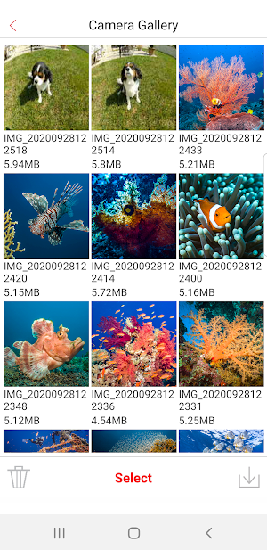 ReefMaster Screenshot 1