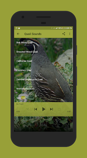 Quail Sounds Screenshot 1