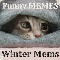 Funny Winter Memes