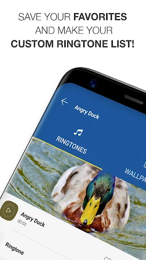 Bird Calls, Sounds & Ringtones Screenshot 2