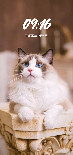 Animal Wallpaper Screenshot 0