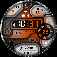 ML2U 224 Watch Face
