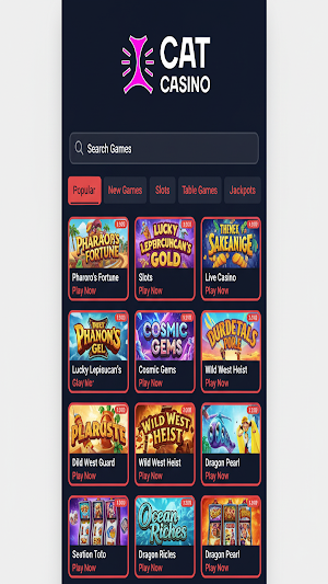 Cat Casino Screenshot 3