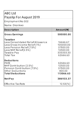 Nigeria Payslip Calculator Screenshot 3