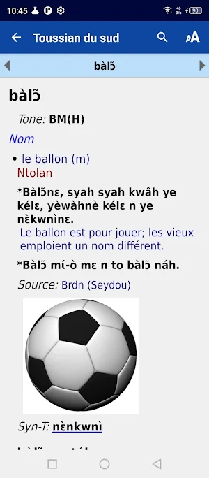 Toussian dictionnaire Screenshot 0