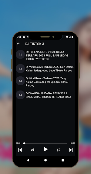 DJ JANDA PIRANG VIRAL OFFLINE Screenshot 3