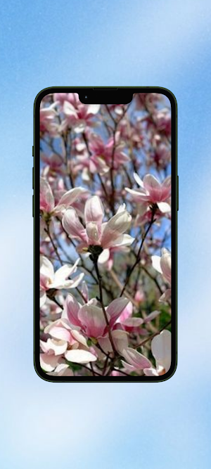 Magnolia Flower WalL Screenshot 2