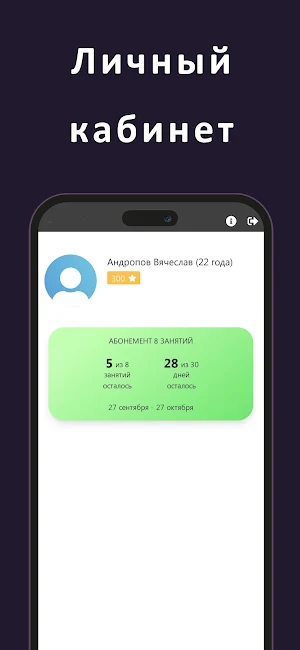 Flexico Studio Screenshot 2