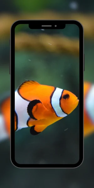 Wallpaper Nemo Fish Screenshot 0