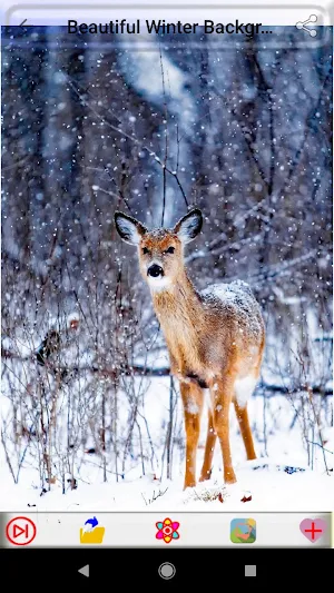 Beautiful Winter Backgrounds Screenshot 3