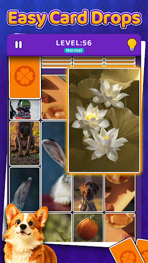 Drop Solitaire - Card Puzzles Screenshot 1
