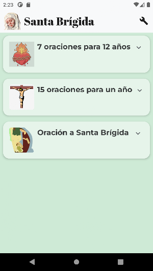 Oraciones de Santa Brigida Screenshot 0