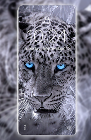 Panther wallpapers HD Screenshot 0
