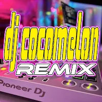 Dj Cocomelon Remix