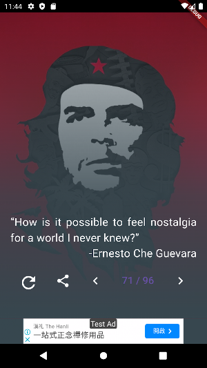 Ernesto Che Guevara Quotes Screenshot 2