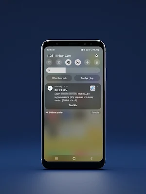 BullsKey Screenshot 0
