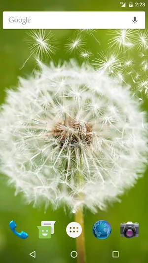 Wallpapers Dandelion Screenshot 1