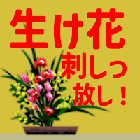 生け花刺しっ放し！