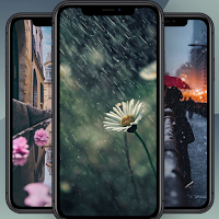 Rain wallpaper - 4K live