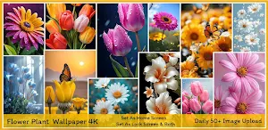 Flowers Wallpaper 4K-HD Photos Screenshot 0