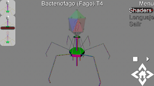 3D Bacteriophage T4 Explorer Screenshot 2