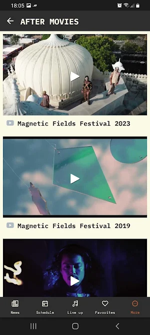 Magnetic Fields Festival Screenshot 2