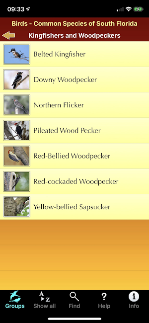 Birds of South Florida Screenshot 2