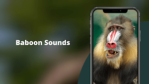 Baboon Sounds Screenshot 0