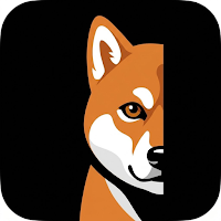 Shiba is Watching - Focus