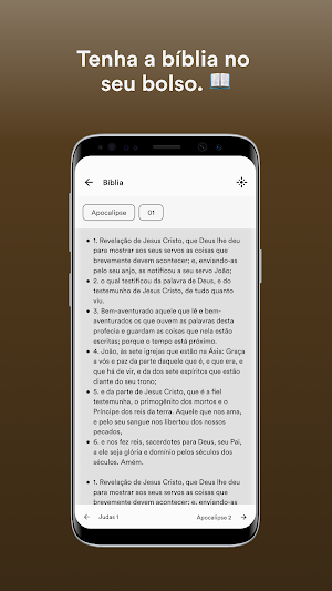 IDPB CN Screenshot 2
