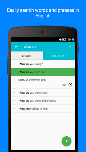 Learn Indonesian Like a Native Screenshot 2
