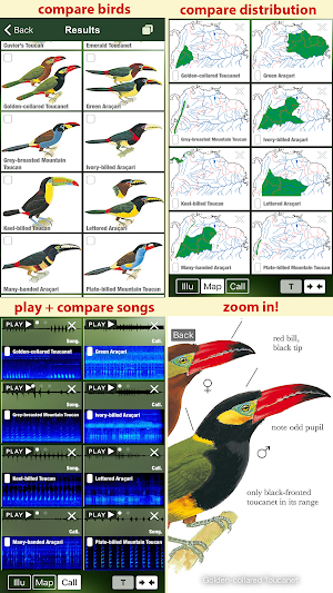 All Birds Colombia - A Sunbird Field Guide Screenshot 2