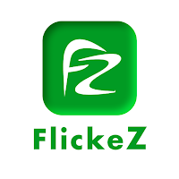 Flickez Partner