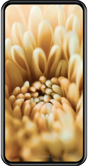 Kappboom Wallpapers HD Screenshot 3