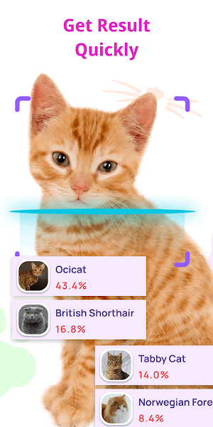 Cat Recognition by Photo Screenshot 3