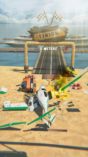Fly To Finish Screenshot 2