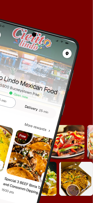 Cielito Lindo Mexican Food Screenshot 1