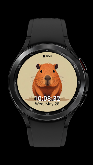 capybara cute_002 Screenshot 3