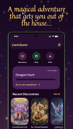 Geo Card Quest Screenshot 0