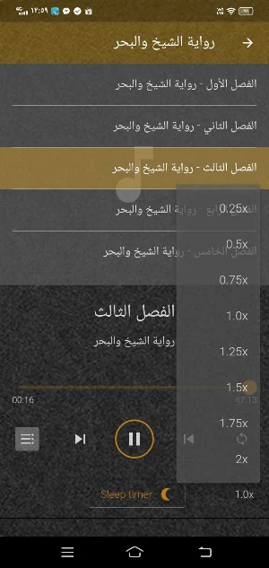 رواية الشيخ والبحر PDF ومسموع Screenshot 2