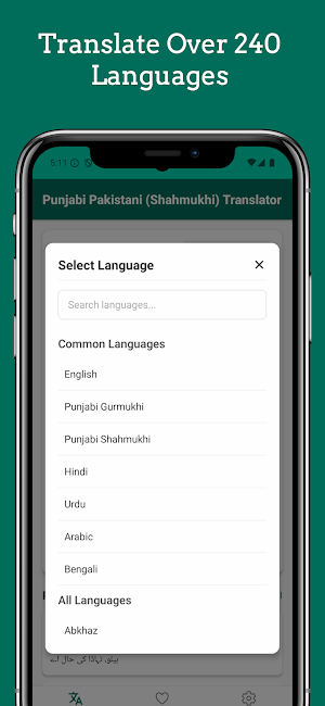 Punjabi Pakistani Translator Screenshot 1