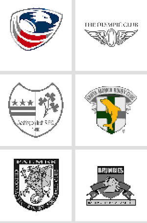 Rugby Logo Color By Numbers -Pixel Art Coloring Screenshot 3
