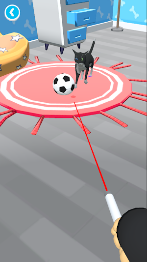 PlayfulCat Screenshot 3