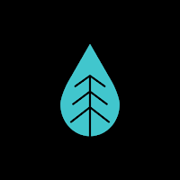Savu Saunas