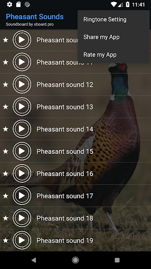 Pheasant sounds ~ Sboard.pro Screenshot 3