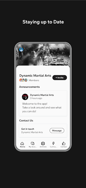Dynamic Martial Arts Screenshot 1