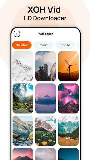 XOH Vid HD Downloader Screenshot 2