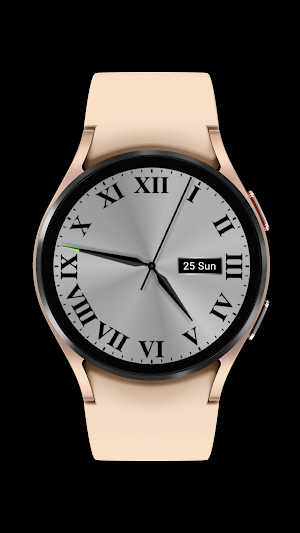 Elegant Grey watch face Screenshot 1