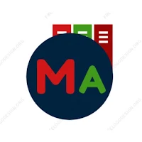 Mini Accountant