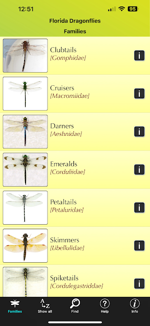 Florida Dragonflies Screenshot 0